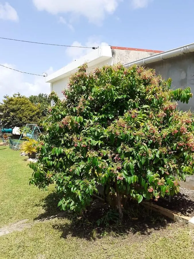 Maison Tranquility Sainte-Anne  Holiday home Sainte-Anne (Grande-Terre)